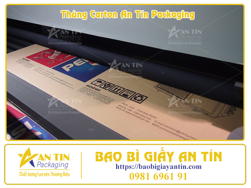 Giải Pháp In Ấn Thùng Carton Tiết Kiệm Chi Phí, Tối Ưu Chất Lượng