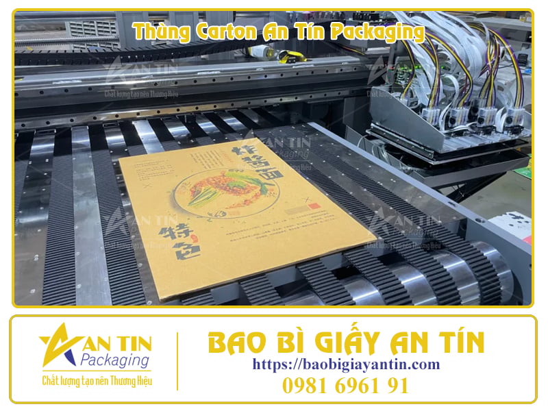 Giải Pháp In Ấn Thùng Carton Tiết Kiệm Chi Phí, Tối Ưu Chất Lượng