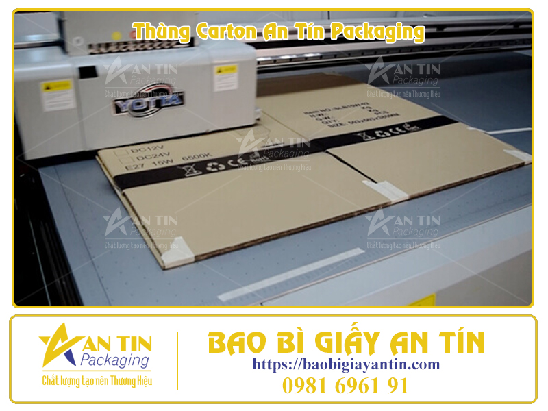Giải Pháp In Ấn Thùng Carton Tiết Kiệm Chi Phí, Tối Ưu Chất Lượng