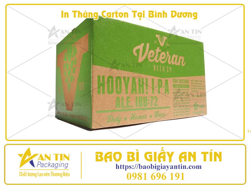 Giải Pháp In Thùng Carton Tại Bình Dương Bền Đẹp, Giá Tốt Cho Mọi Doanh Nghiệp