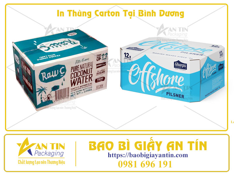 Giải Pháp In Thùng Carton Tại Bình Dương Bền Đẹp, Giá Tốt Cho Mọi Doanh Nghiệp
