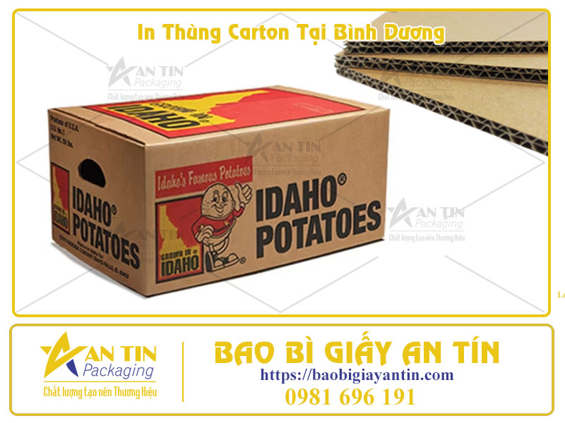 Giải Pháp In Thùng Carton Tại Bình Dương Bền Đẹp, Giá Tốt Cho Mọi Doanh Nghiệp