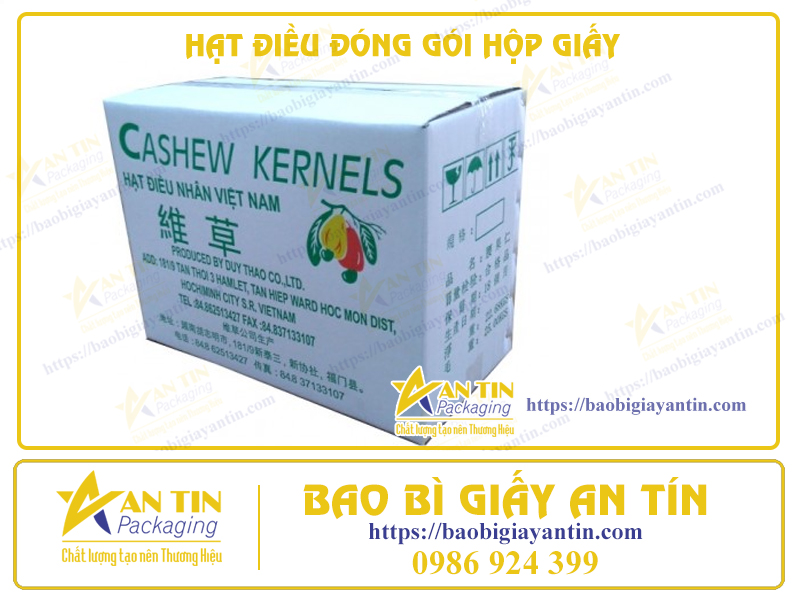 HẠT ĐIỀU ĐÓNG GÓI HỘP GIẤY – GIẢI PHÁP CHUYÊN NGHIỆP VÀ THẨM MỸ