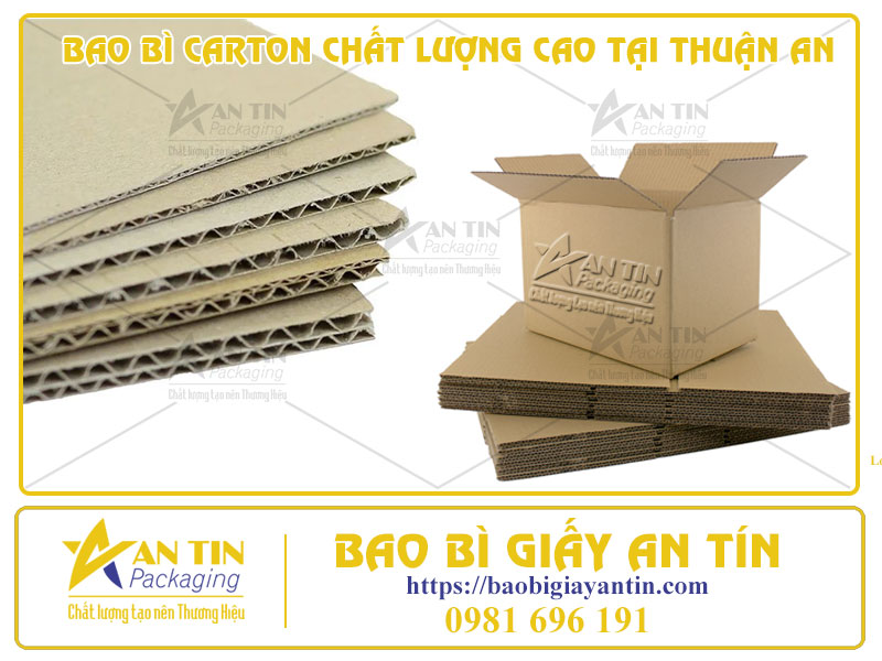 HIỆN ĐẠI HÓA ĐÓNG GÓI VỚI BAO BÌ CARTON CHẤT LƯỢNG CAO TẠI THUẬN AN