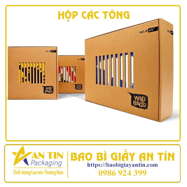 HỘP CÁC TÔNG