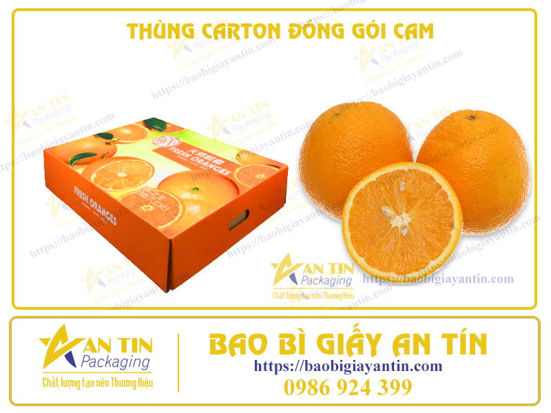 THÙNG CARTON ĐÓNG GÓI CAM: BÍ QUYẾT GIỮ CHO CAM LUÔN TƯƠI NGON TỪ TRANG TRẠI ĐẾN BÀN ĂN