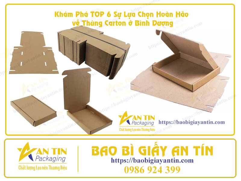 Hộp giấy carton mua ở đâu tại Bình Dương