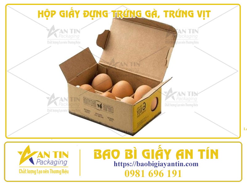 HỘP GIẤY ĐỰNG TRỨNG GÀ, TRỨNG VỊT – SỰ LỰA CHỌN THÔNG MINH CHO SẢN PHẨM DỄ VỠ