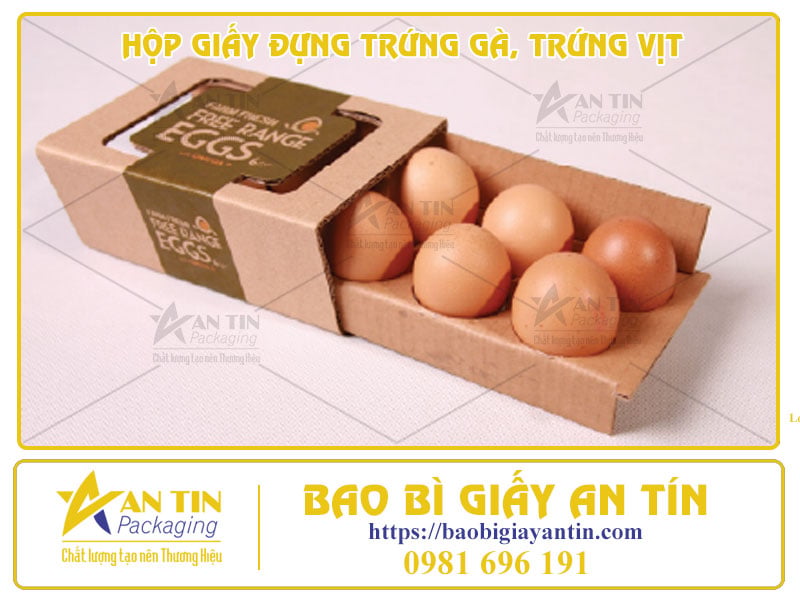 Hộp Giấy Đựng Trứng Gà, Trứng Vịt - Sự Lựa Chọn Thông Minh Cho Sản Phẩm Dễ Vỡ