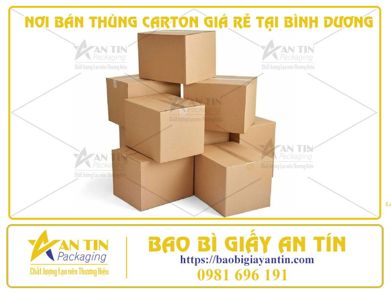 Hướng Dẫn Tìm Nơi Bán Thùng Carton Giá Rẻ Tại Bình Dương