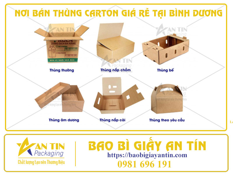 Hướng Dẫn Tìm Nơi Bán Thùng Carton Giá Rẻ Tại Bình Dương