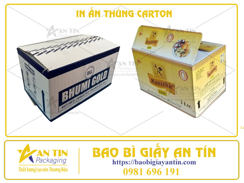 In Ấn Thùng Carton – Chìa Khóa Cho Thành Công Của Bạn!