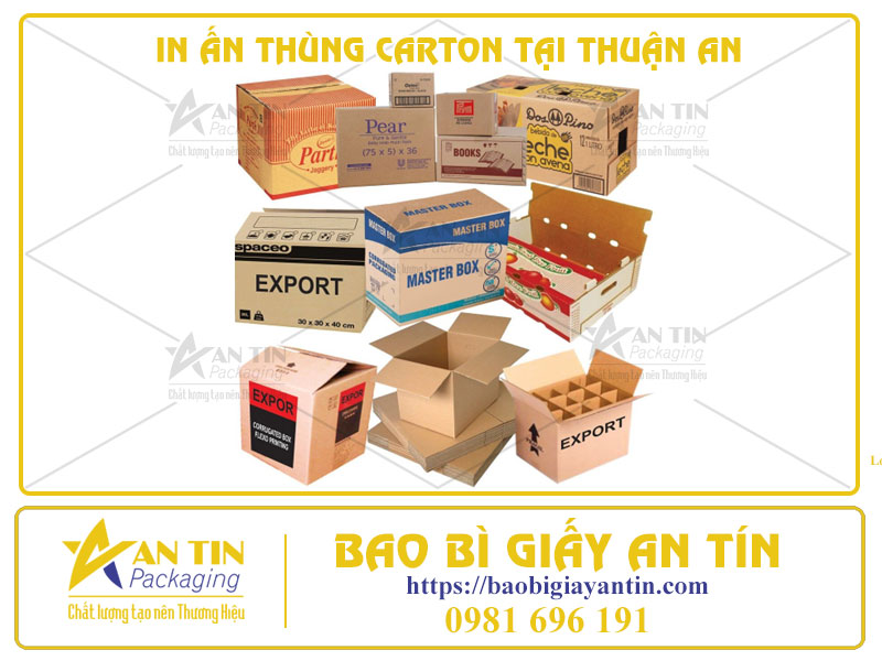 IN ẤN THÙNG CARTON – CHIẾN DỊCH MARKETING THÔNG MINH CHO DOANH NGHIỆP HIỆN ĐẠI TẠI THUẬN AN