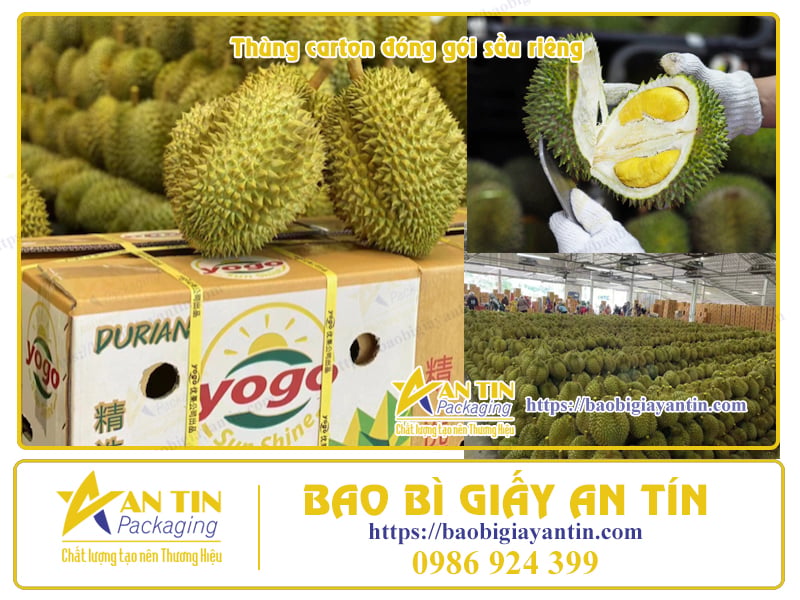 In ấn thùng carton đóng gói Sầu Riêng