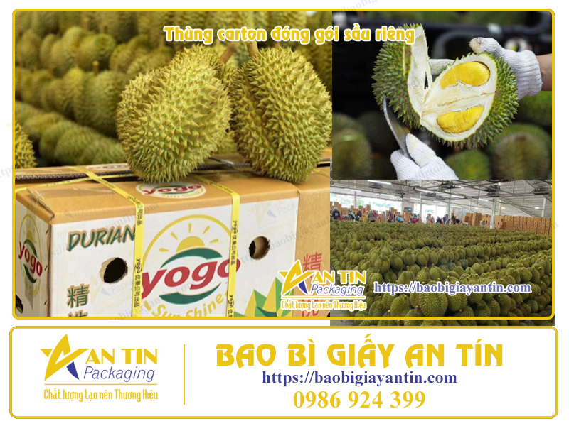 In Thùng Carton Đóng Gói Sầu Riêng Sự Kết Hợp Hoàn Hảo Giữa Thẩm Mỹ Và Chức Năng