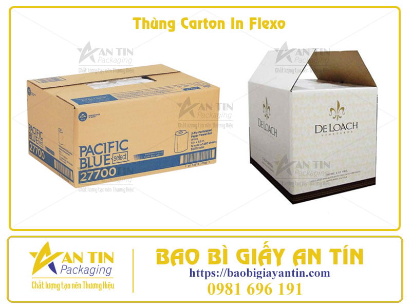 In Flexo Thùng Carton Công Nghệ In Quốc Dân Cho Sản Xuất Bao Bì Số Lượng Lớn