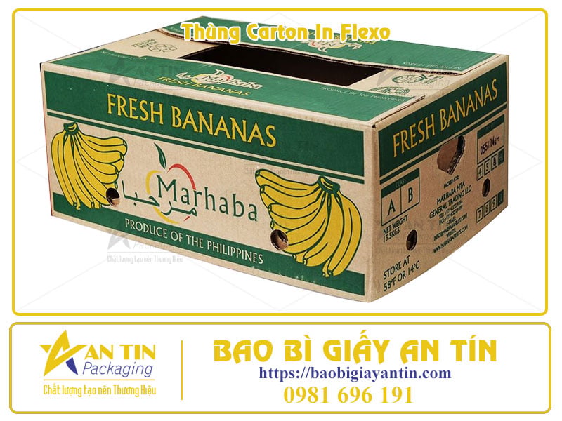 In Flexo Thùng Carton Công Nghệ In Quốc Dân Cho Sản Xuất Bao Bì Số Lượng Lớn