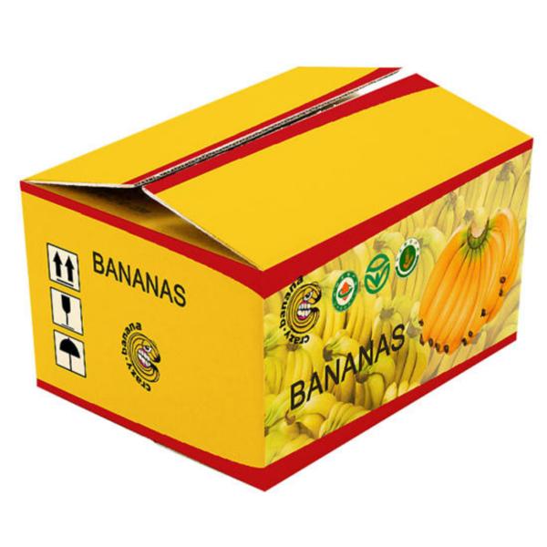 in-offset-thiet-ke-thung-carton