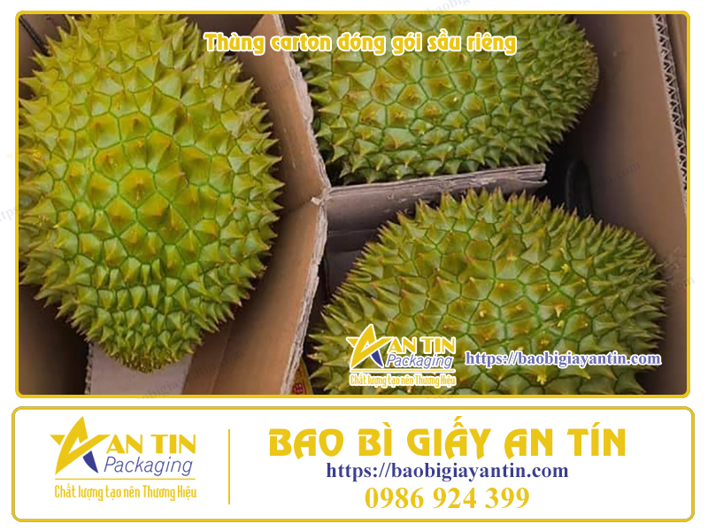 In Thùng carton đóng gói Sầu Riêng