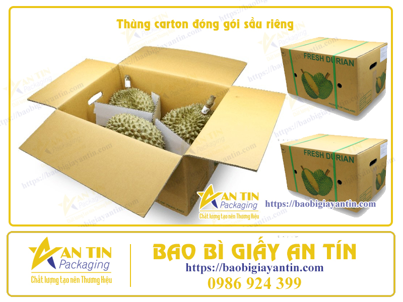 In Thùng carton đóng gói Sầu Riêng