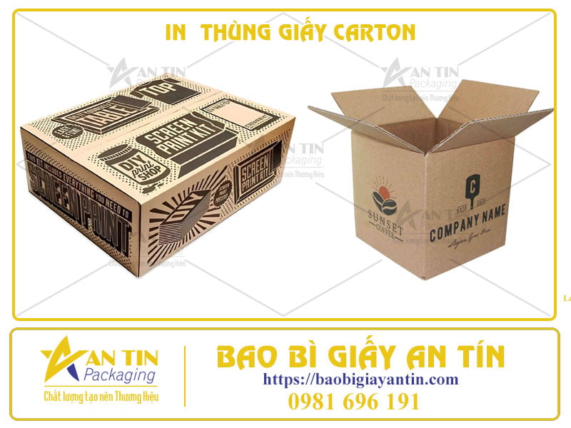 In Thùng Giấy Carton Chất Lượng Cao Tại Bao Bì An Tín - Nâng Tầm Thương Hiệu Sản Phẩm Của Bạn