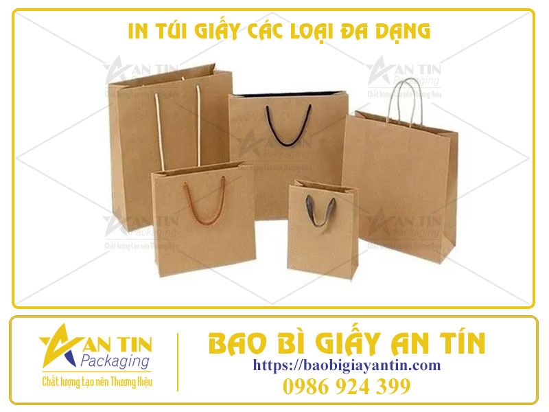 IN TÚI GIẤY CÁC LOẠI ĐA DẠNG – MỞ RA THẾ GIỚI KHÔNG GIỚI HẠN CHO Ý TƯỞNG CỦA BẠN