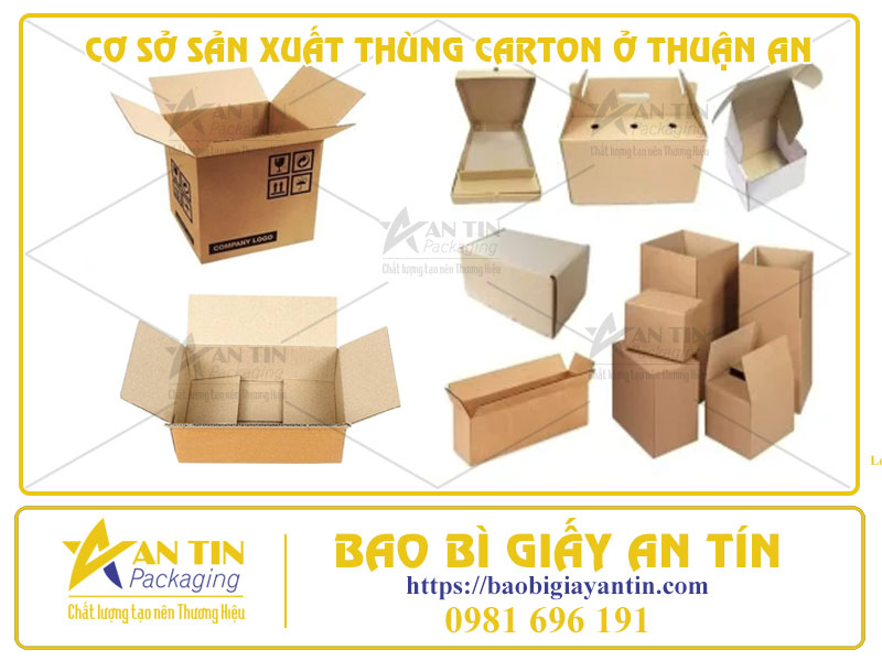 KHÁM PHÁ TẬN NƠI CƠ SỞ SẢN XUẤT THÙNG CARTON Ở THUẬN AN