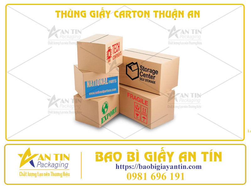 Kiểu Dáng Hiện Đại, Chất Liệu Cao Cấp - Thùng Giấy Carton Thuận An