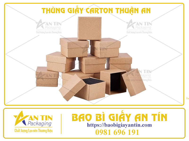 Kiểu Dáng Hiện Đại, Chất Liệu Cao Cấp - Thùng Giấy Carton Thuận An