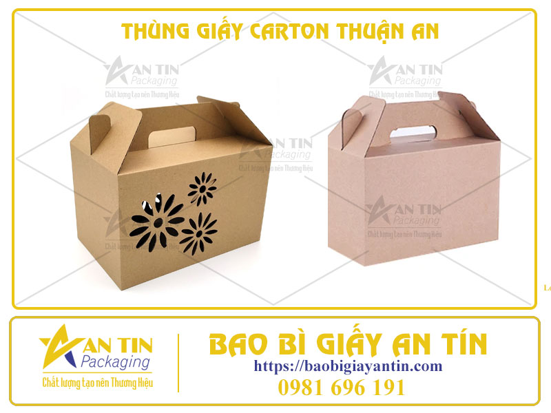 Kiểu Dáng Hiện Đại, Chất Liệu Cao Cấp - Thùng Giấy Carton Thuận An