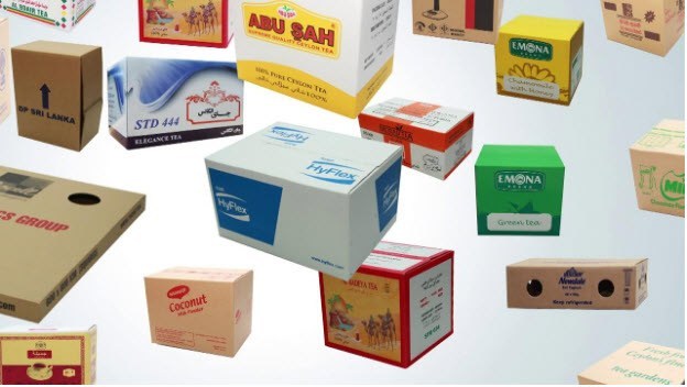 mau-sac-thiet-ke-thung-carton