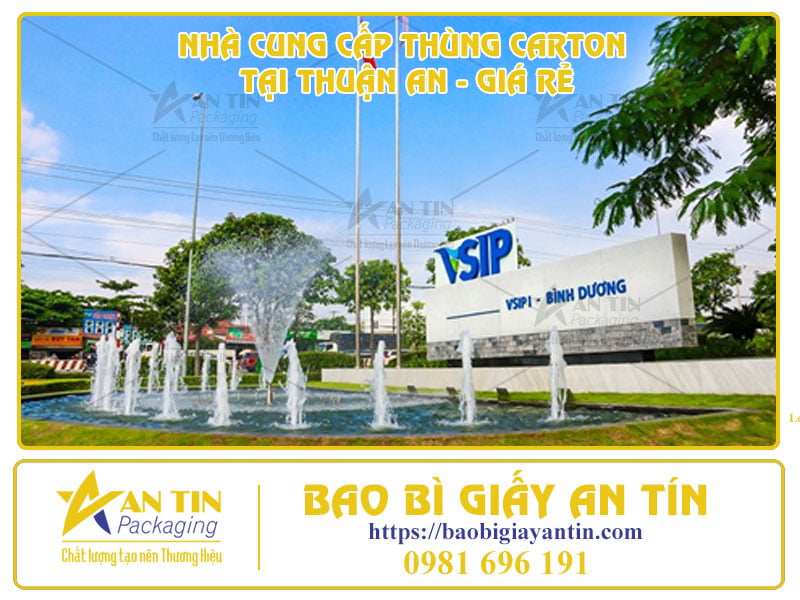 Nhà Cung Cấp Thùng Carton Tại Thuận An - Giá Rẻ, Chất Lượng, Giao Hàng Tận Nơi