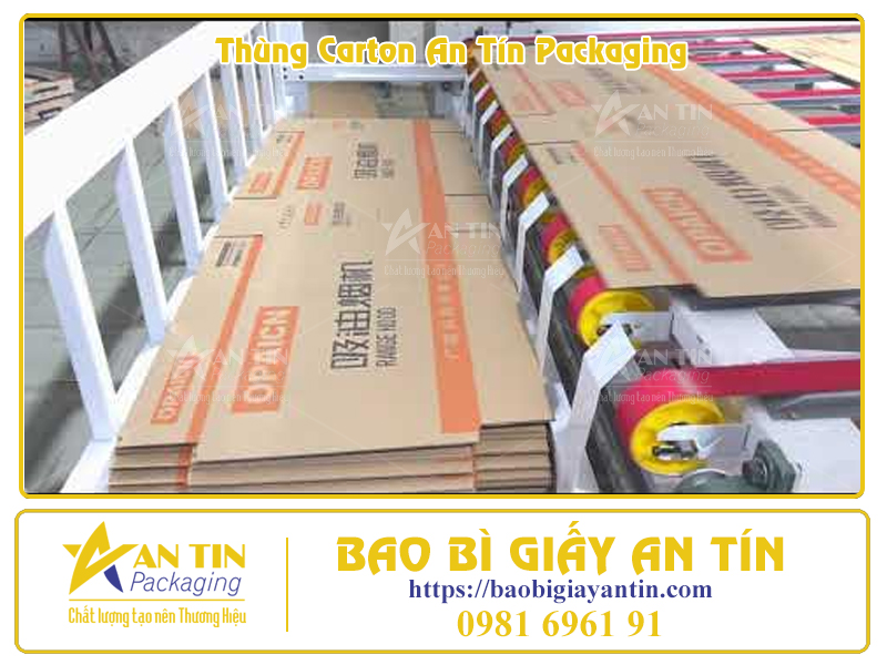 Phân Loại Thùng Giấy Lớn Theo Thiết Kế Thẩm Mỹ