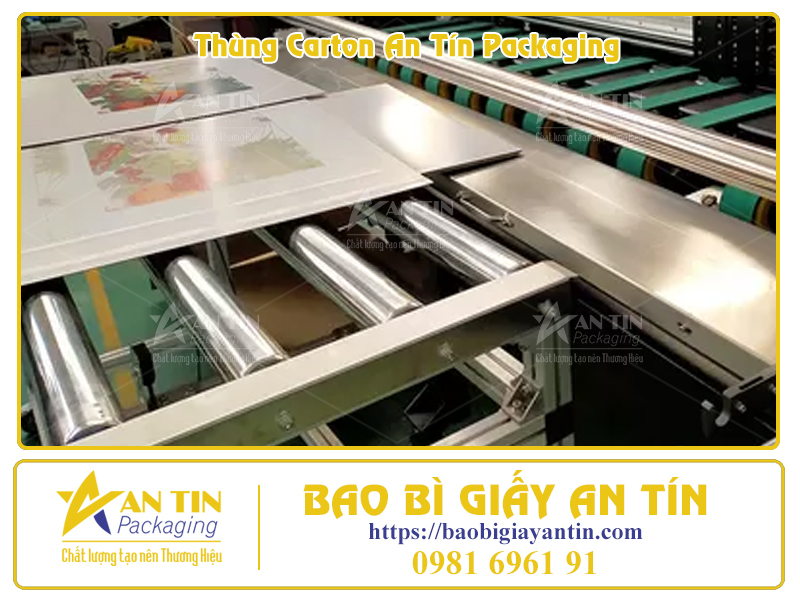 Phân Loại Thùng Giấy Lớn Theo Thiết Kế Thẩm Mỹ