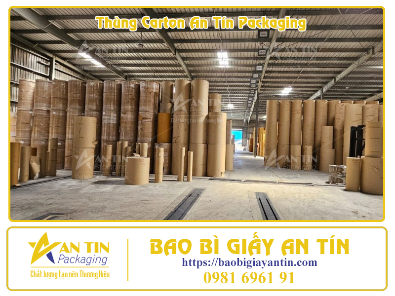 Phân Loại Thùng Giấy Lớn Theo Thiết Kế Thẩm Mỹ