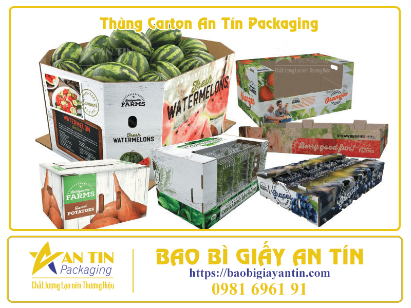Phân Loại Thùng Giấy Lớn Theo Thiết Kế Thẩm Mỹ