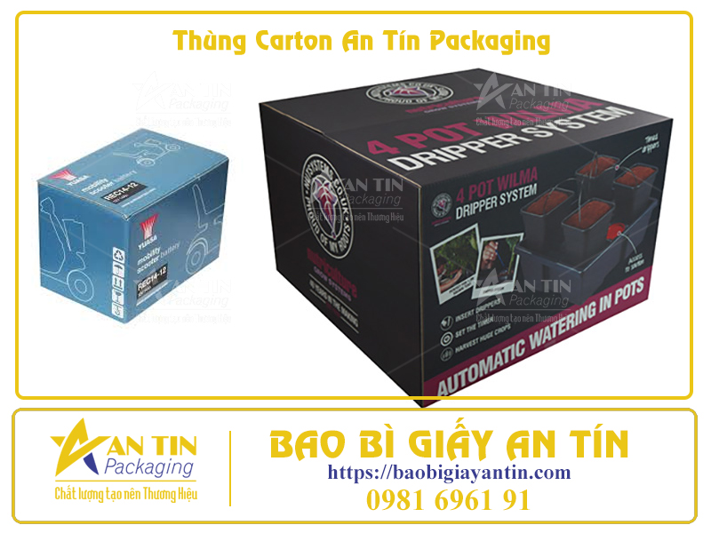 Phân Loại Thùng Giấy Lớn Theo Thiết Kế Thẩm Mỹ