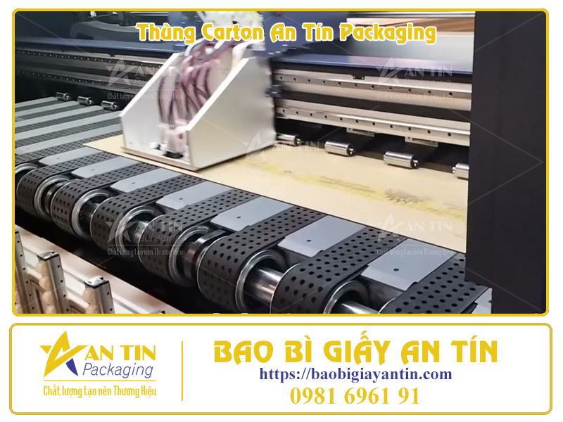 Phân Loại Thùng Giấy Lớn Theo Thiết Kế Thẩm Mỹ