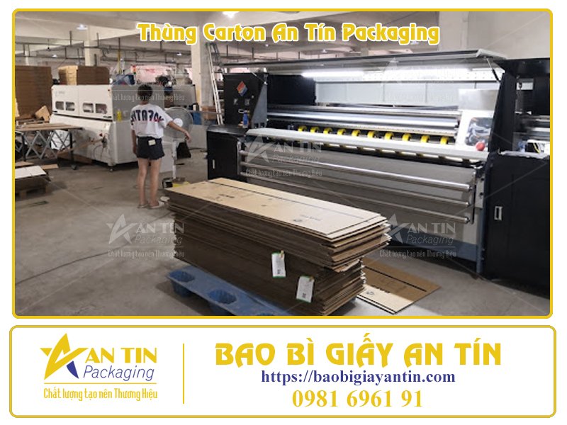 Phân Loại Thùng Giấy Lớn Theo Thiết Kế Thẩm Mỹ