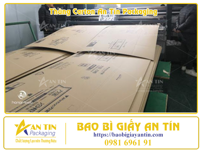 Phân Loại Thùng Giấy Lớn Theo Thiết Kế Thẩm Mỹ