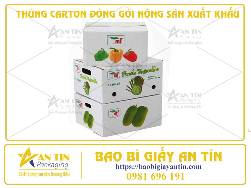 Phân Tích Ưu Điểm Và Nhược Điểm Của Thùng Carton Đóng Gói Nông Sản Xuất Khẩu