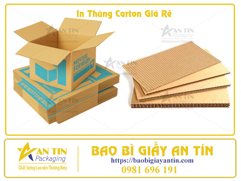 Quy Trình In Thùng Carton Giá Rẻ Tại HCM  Chuyên Nghiệp, Hiệu Quả, Nhanh Chóng