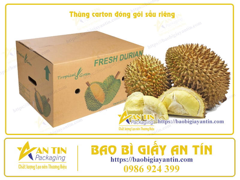 Sầu Riêng Đóng Gói – Sự Kết Hợp Độc Đáo Của Hương Vị Và Bao Bì