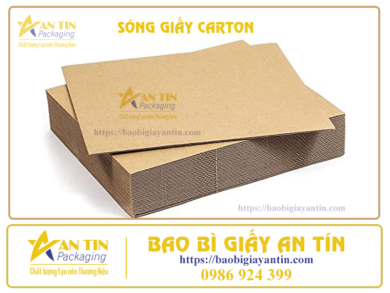 song-giay-carton-an-tin-1