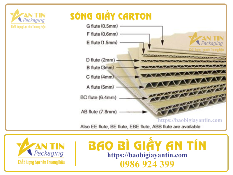 song-giay-carton-an-tin