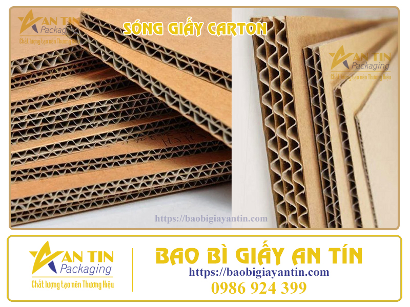 song-giay-carton