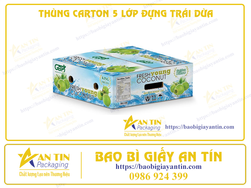 THÙNG CARTON 5 LỚP ĐỰNG TRÁI DỪA: SỰ LỰA CHỌN TỐI ƯU ĐỂ BẢO VỆ SẢN PHẨM KHỎI HƯ HỎNG