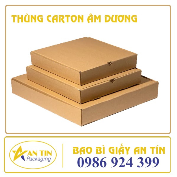 thung-carton-am-duong-bao-bi-giay-an-tin-001