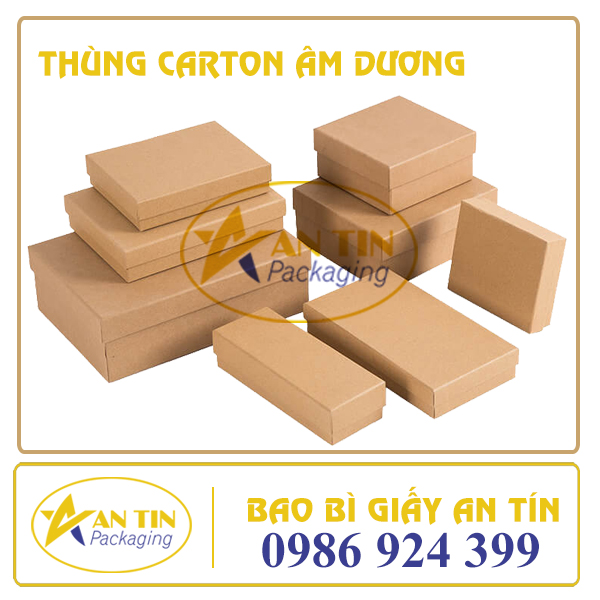 thung-carton-am-duong-bao-bi-giay-an-tin-002