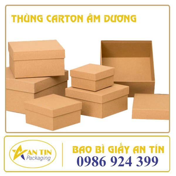 thung-carton-am-duong-bao-bi-giay-an-tin-1